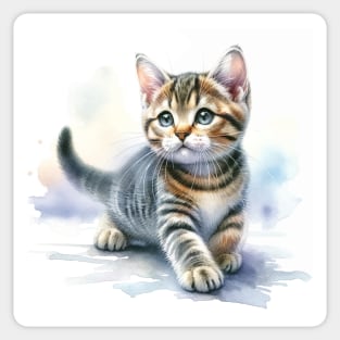 Domestic Shorthair Watercolor Kitten - Cute Kitties Sticker